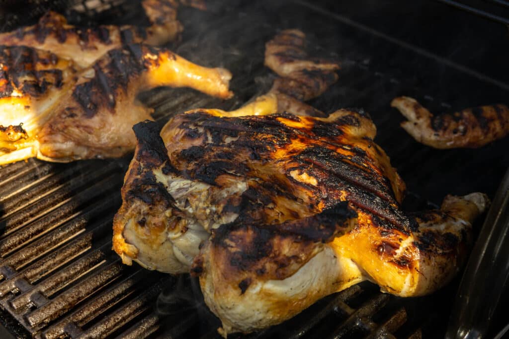 Flatbird kylling pa grillen 6 1