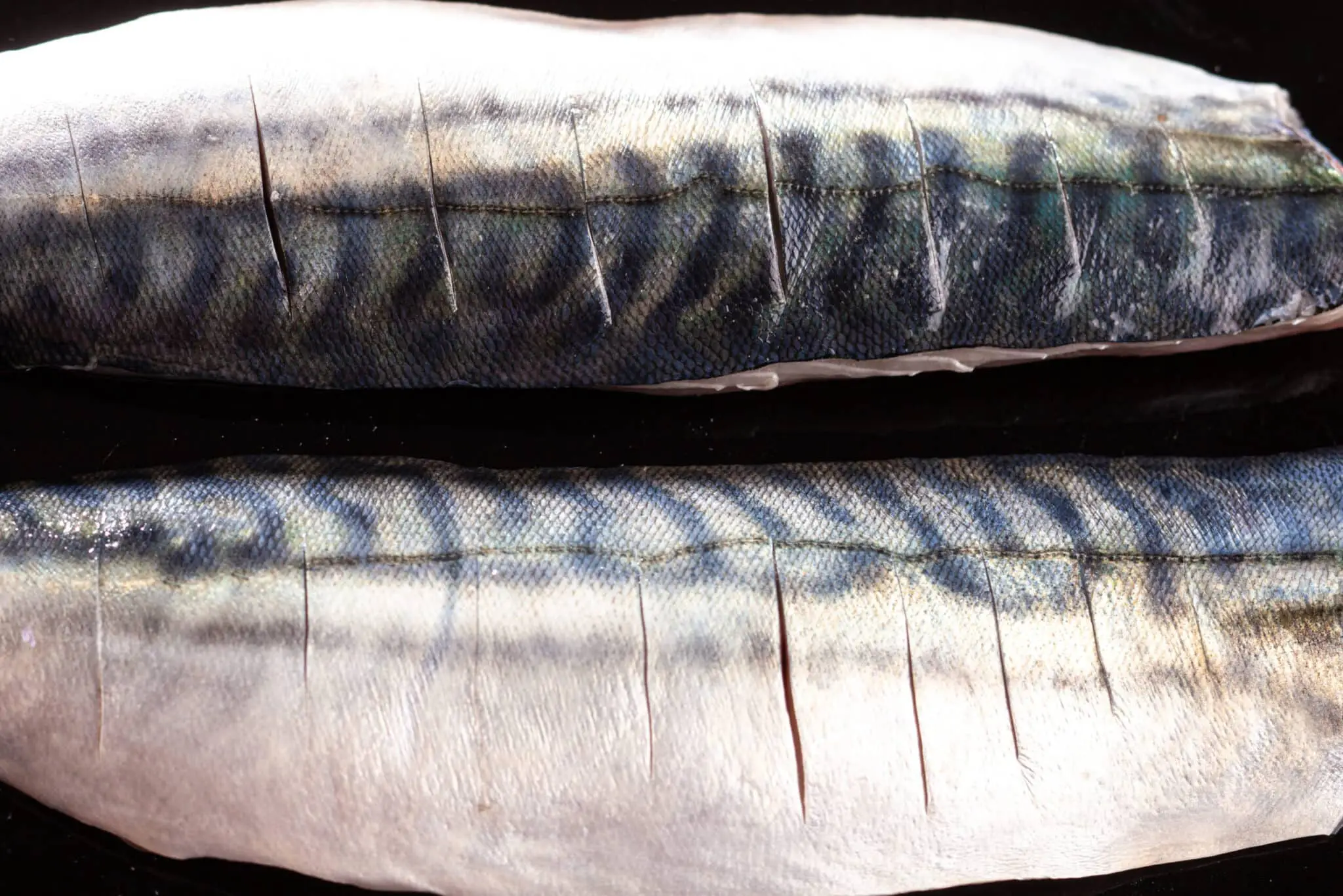 Ovnsbakt makrell med nykål og rabarbra 5 scaled